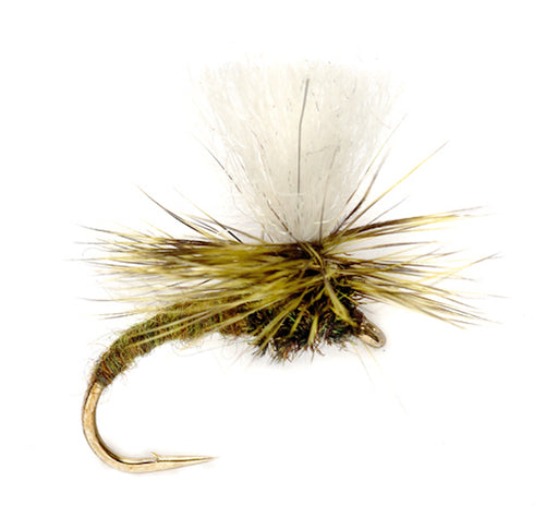 Klinkhammer Olive