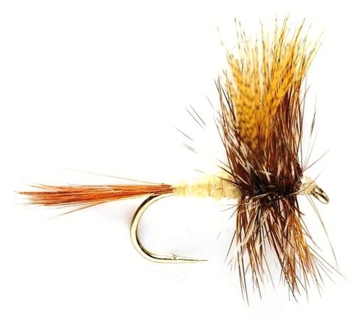 March Brown