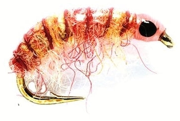 Micro Shrimp Watery Pink