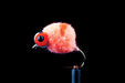 Tangerine Muppet #10