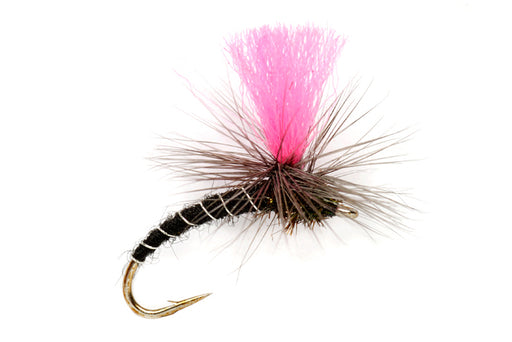 Oliver Edwards Pinkhammer