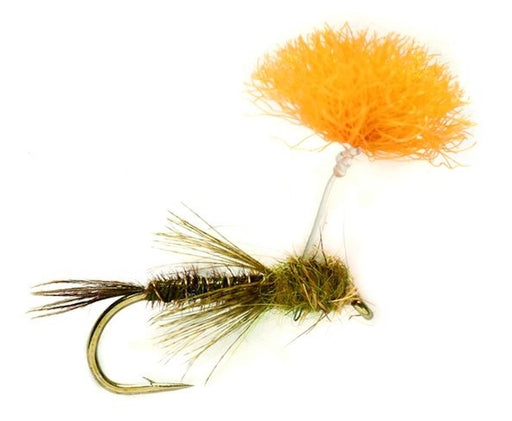 Parasol Pheasant Tail Olive