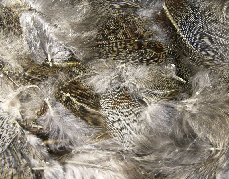 Premium Hungarian Partrige Feather - The Flyfisher