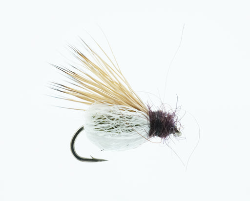 Scott's Sparkle Pupa