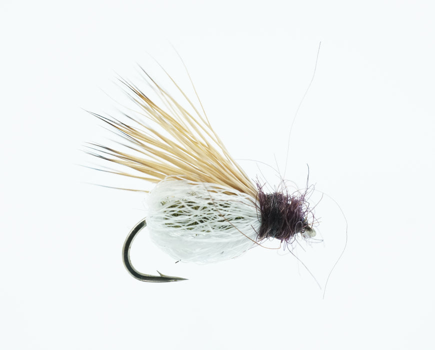 Scott's Sparkle Pupa