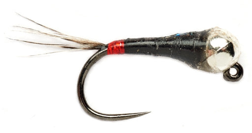 Spanish Bullet French
