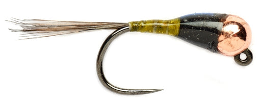 Spanish Bullet Olive
