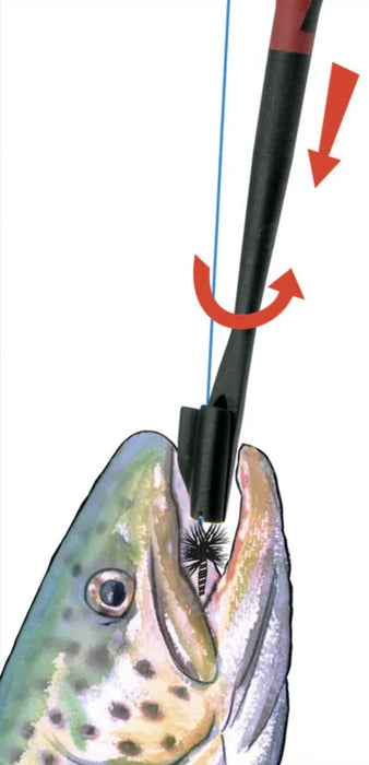Stonfo Disgorger Australia