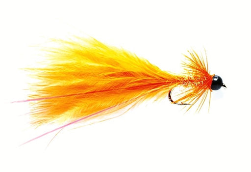 Taddy Orange