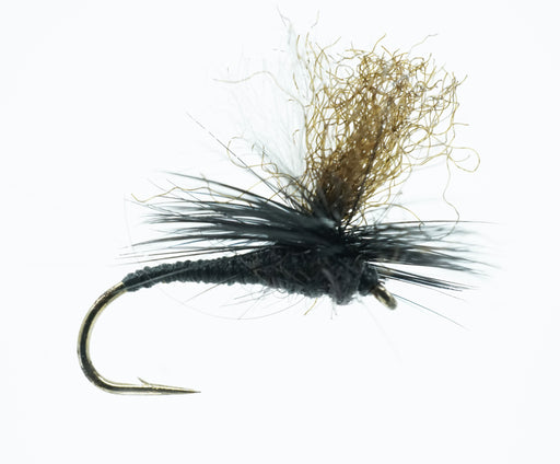 The Black Spinner