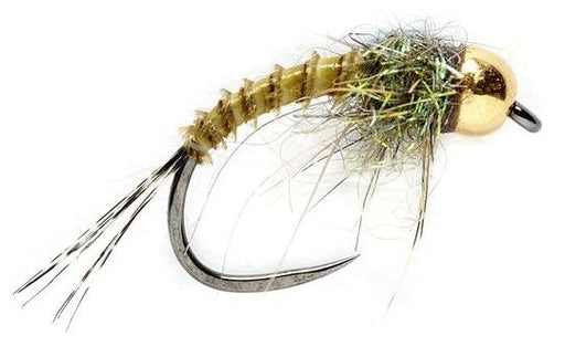 Tungsten Biot Nymph