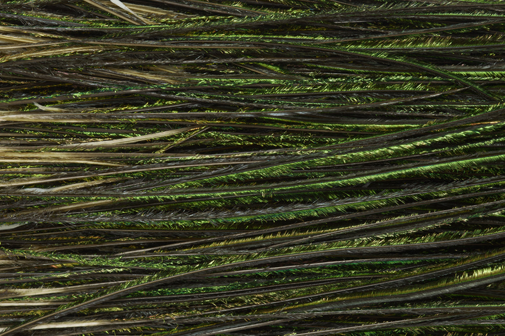 Fulling Mill Premium Selected Peacock Herl