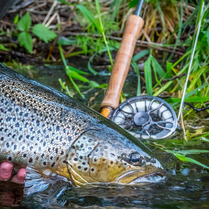 Vision XO Adjustable Fly Reel and Spool