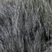 Hareline Dubbin X-Select Marabou - The Flyfisher